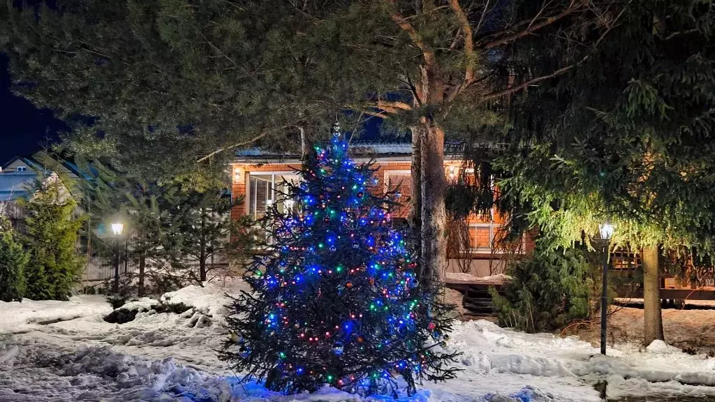 Дом в Московская область, Химки городской округ, д. Брехово ул. ... - Фото 1