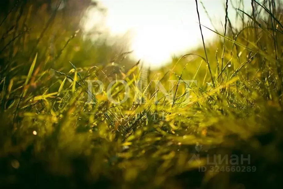 Участок в Московская область, Красногорск городской округ, д. ... - Фото 2