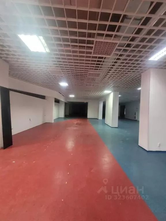 Торговая площадь в Краснодарский край, Новороссийск просп. ... - Фото 2