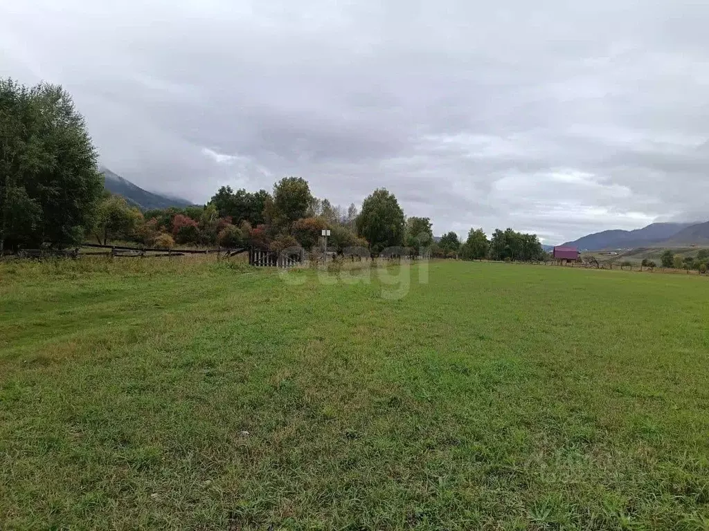 Участок в Алтай, с. Онгудай  (50.0 сот.) - Фото 1