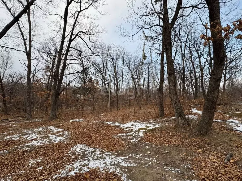 Участок в Приморский край, Владивосток Комитетская ул. (18.0 сот.) - Фото 0