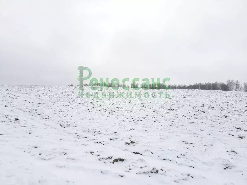 Участок в Брянская область, Брянск просп. Ленина (10.0 сот.) - Фото 1