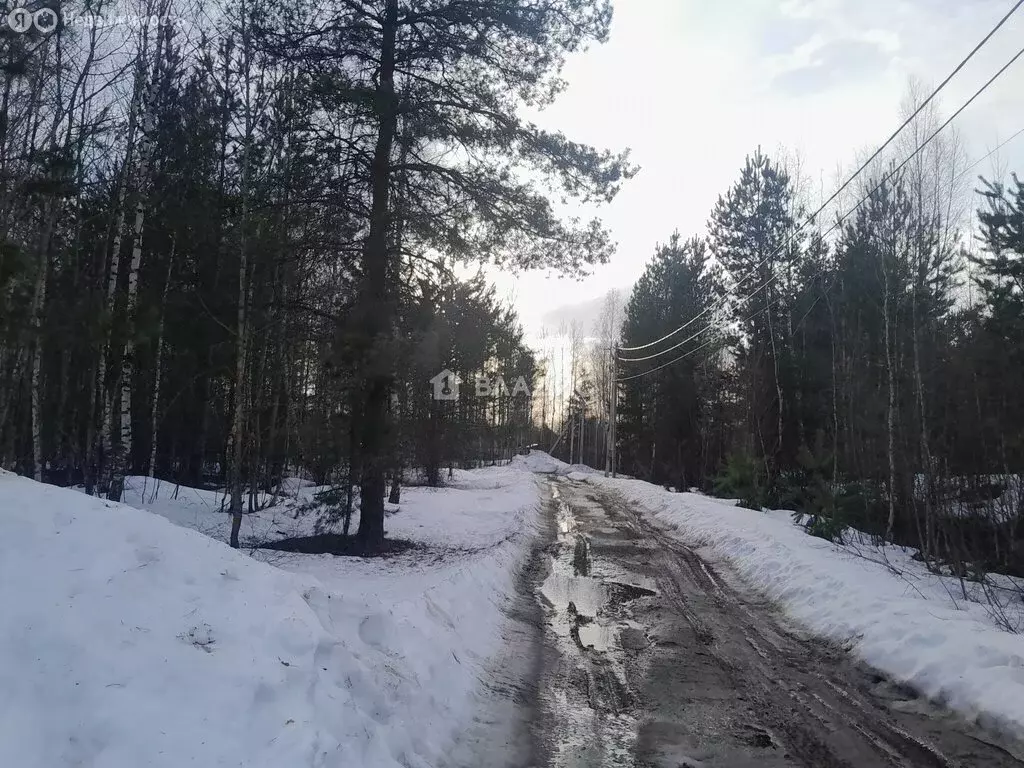 Участок в Электрогорск, 6-я Юго-Западная улица (12 м) - Фото 1