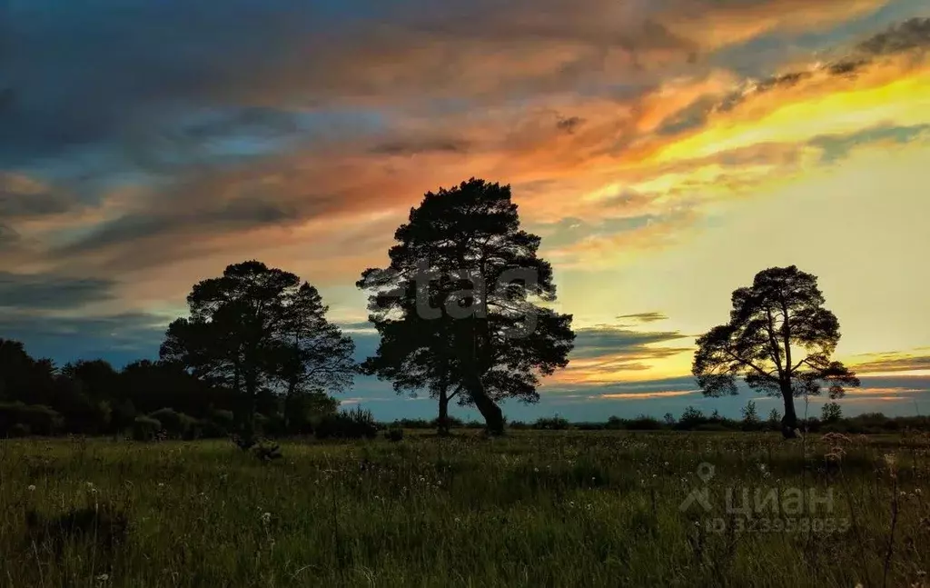 Участок в Тюменская область, Тюменский муниципальный округ, с. Каменка ... - Фото 1