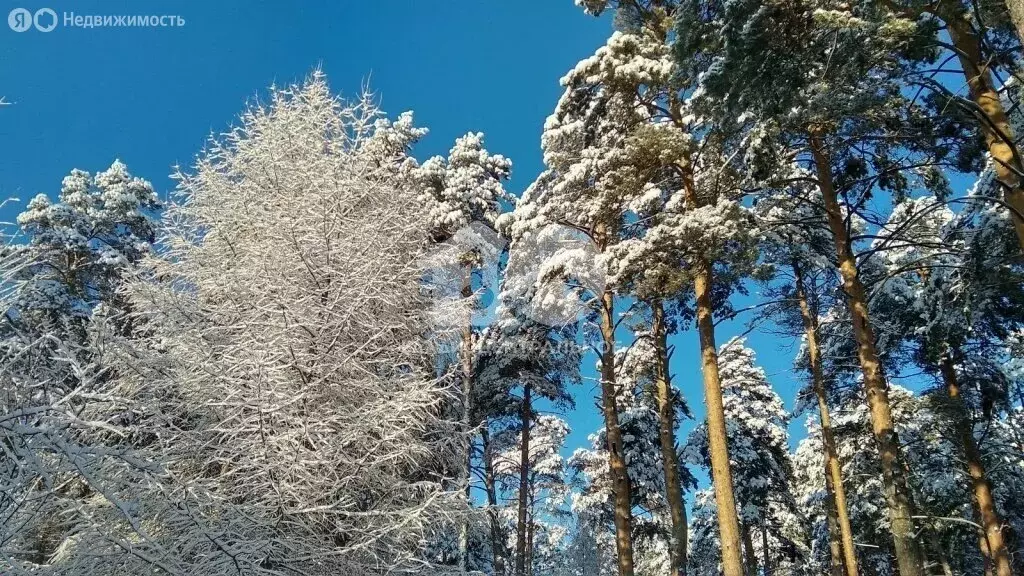 Дом в Новосибирск, Средний переулок, 55 (35.6 м) - Фото 2
