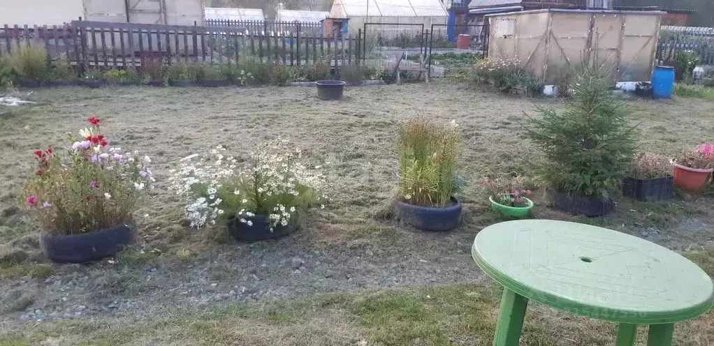 Дом в Свердловская область, Нижний Тагил Дружба СТ, ул. Луговая, 20 ... - Фото 1