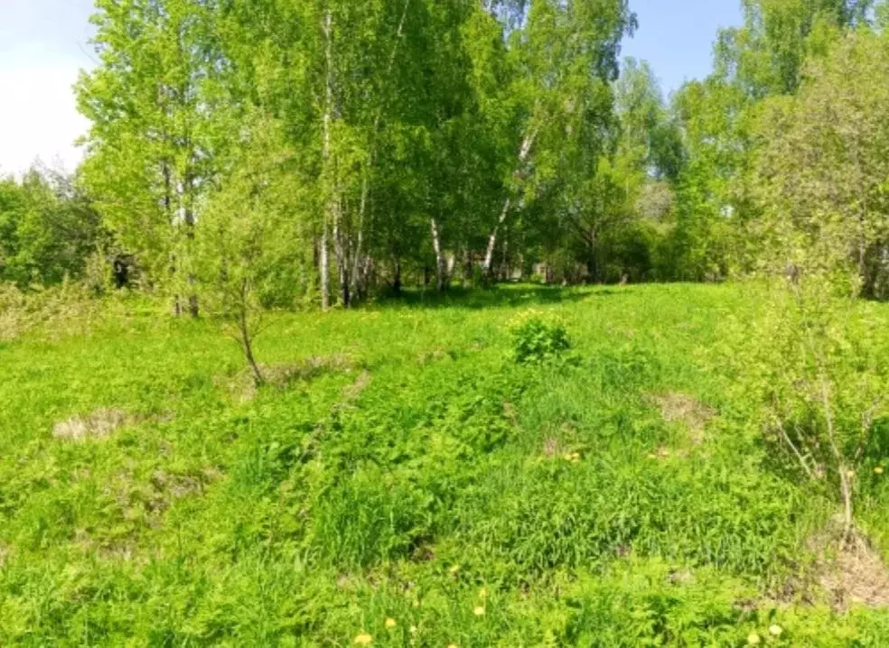Участок в Московская область, Чехов муниципальный округ, д. Сандарово  ... - Фото 1