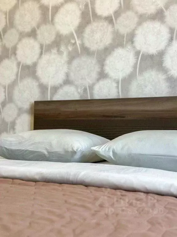 2-к кв. Иркутская область, Иркутск Дальневосточная ул., 29/4 (48.0 м) - Фото 1