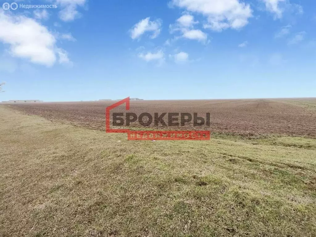 Участок в Сакский район, село Молочное (9.9 м) - Фото 1