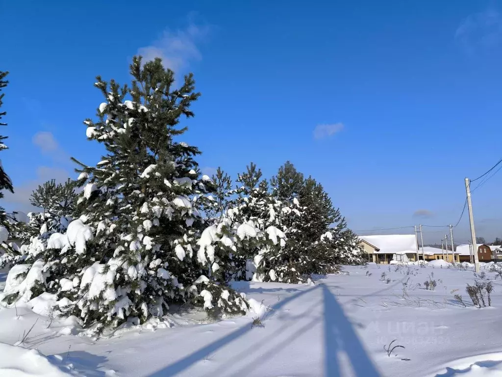 Участок в Московская область, Раменский муниципальный округ, с. ... - Фото 2