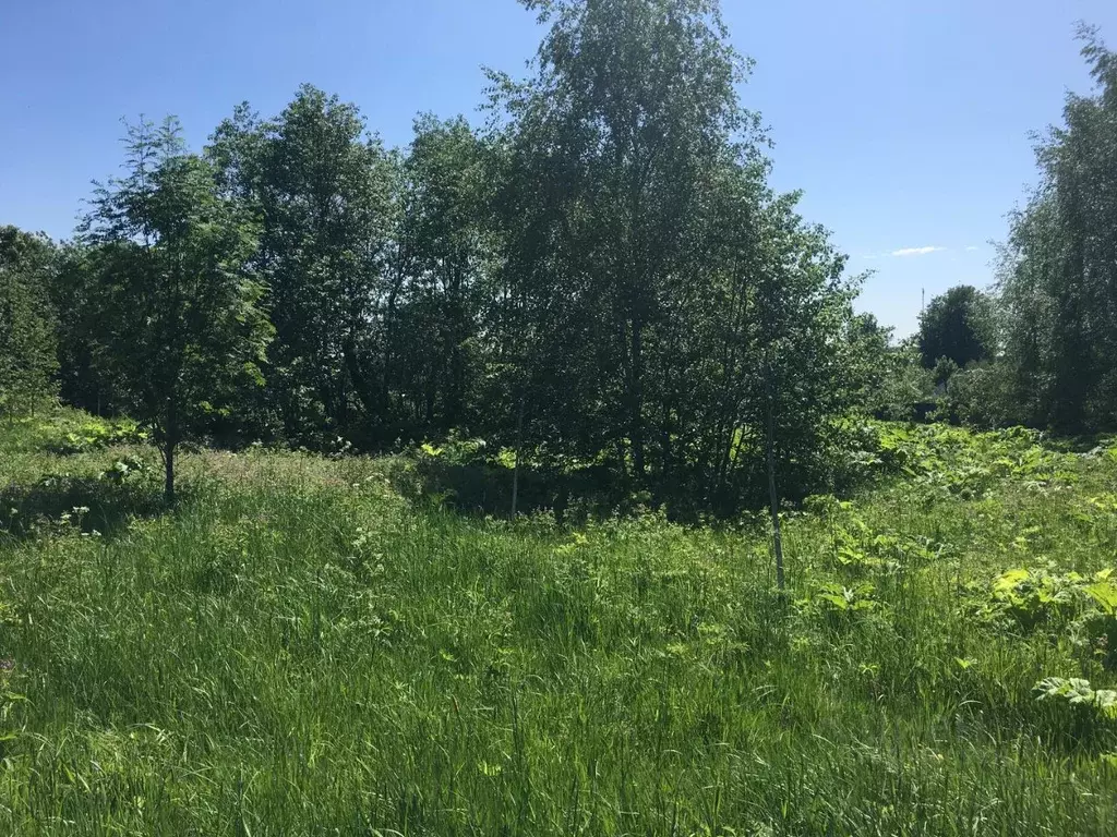Участок в Московская область, Пушкинский городской округ, д. Цернское  ... - Фото 1