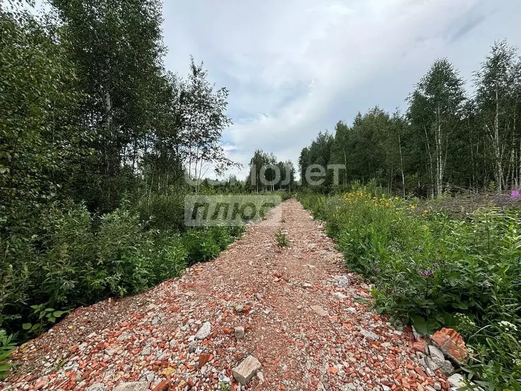 Участок в Тюменская область, Нижнетавдинский район, Моторостроитель ... - Фото 1