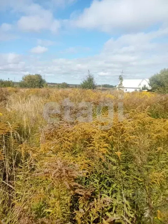 Участок в Брянская область, Брянский район, Мичуринское с/пос, д. ... - Фото 2