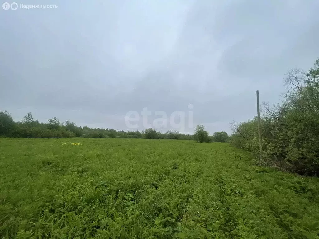 Участок в Архангельская область, Приморский муниципальный округ, ... - Фото 2
