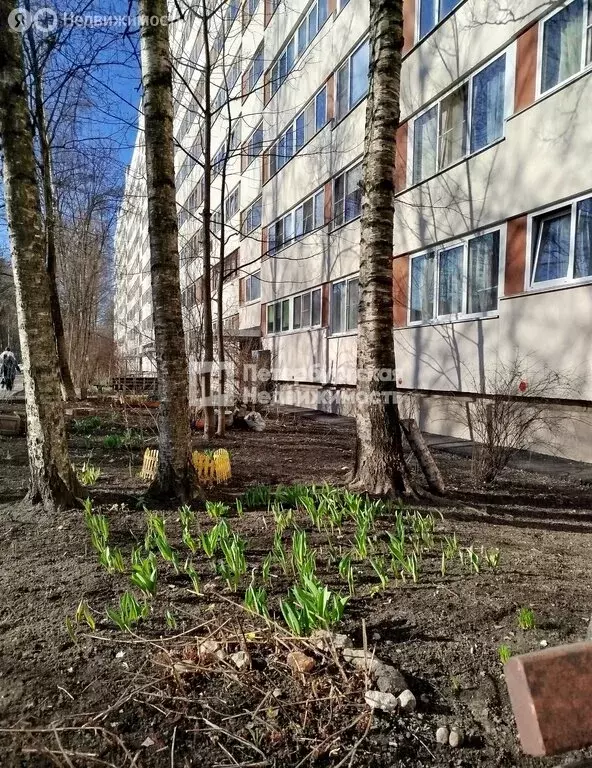 1к в 3-комнатной квартире (17.7 м) - Фото 1