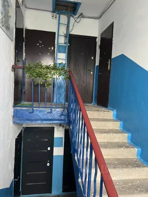 2-к кв. Крым, Феодосия ул. Галерейная, 15 (41.6 м) - Фото 1