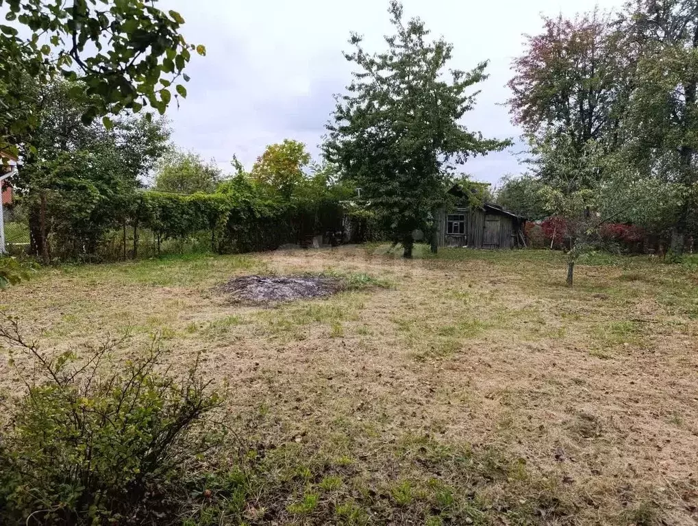 Дом в Воронежская область, Воронеж Мичуринец ДНТ, ул. Первая, 171 (26 ... - Фото 2