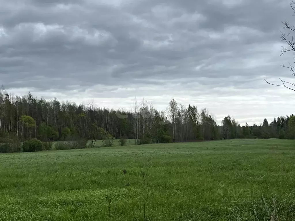 Участок в Ленинградская область, Выборгский район, Советское городское ... - Фото 1