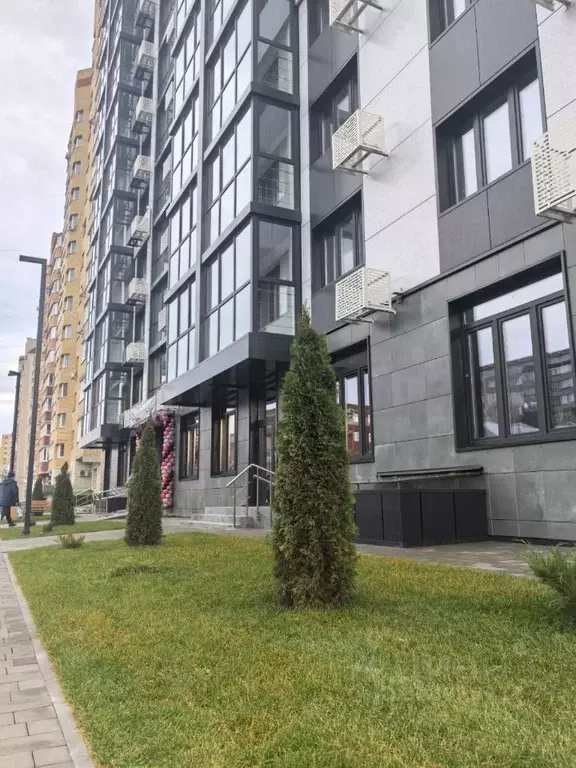 Студия Тамбовская область, Тамбов ул. Карла Маркса, 169 (36.3 м) - Фото 1