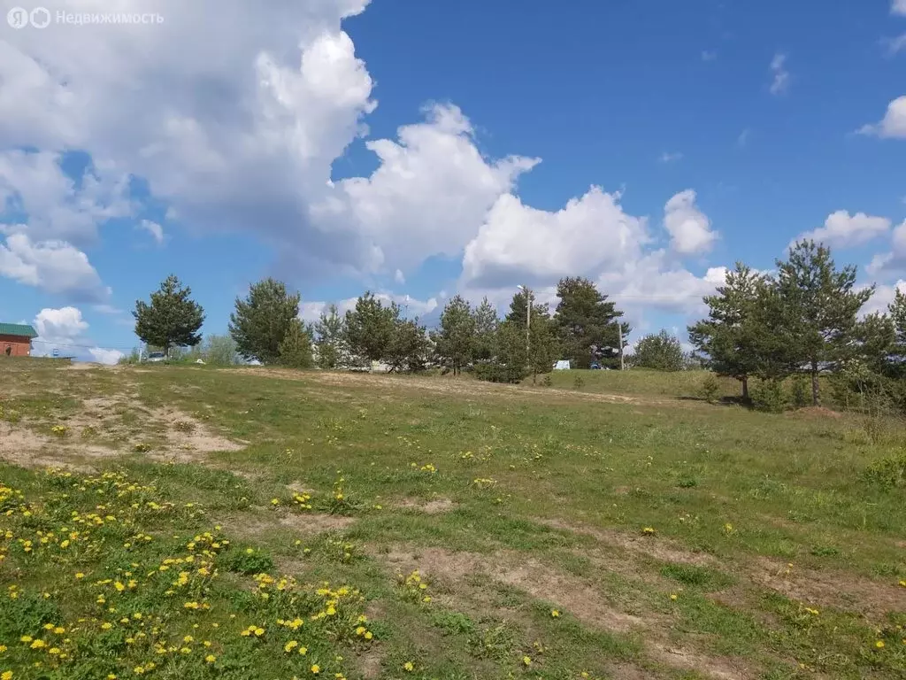 Участок в Осташковский городской округ, деревня Сорога (990 м) - Фото 0