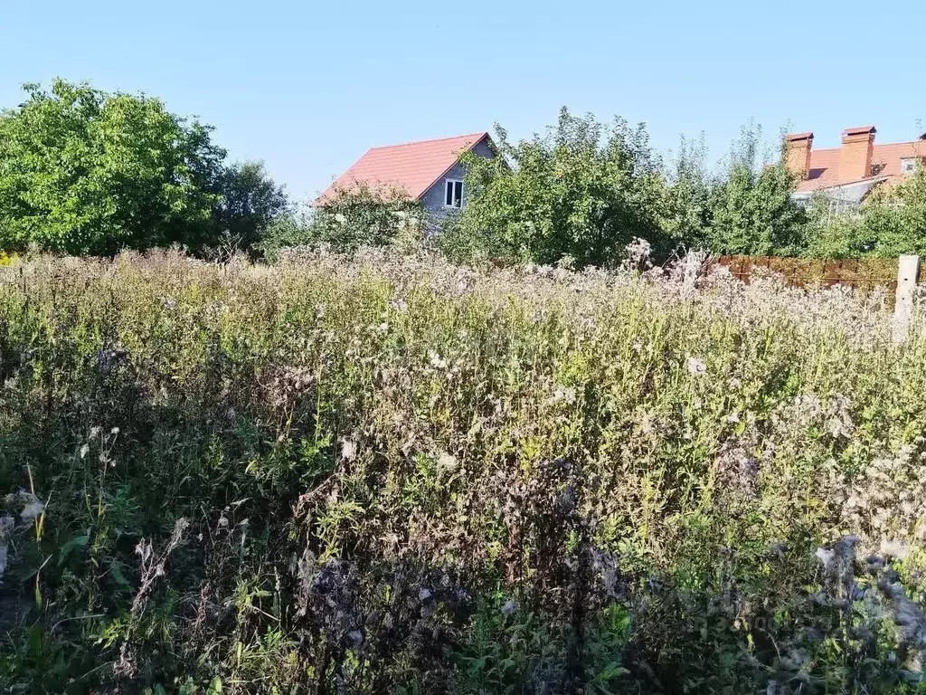 Участок в Тульская область, Тула городской округ, пос. Петровский ... - Фото 1