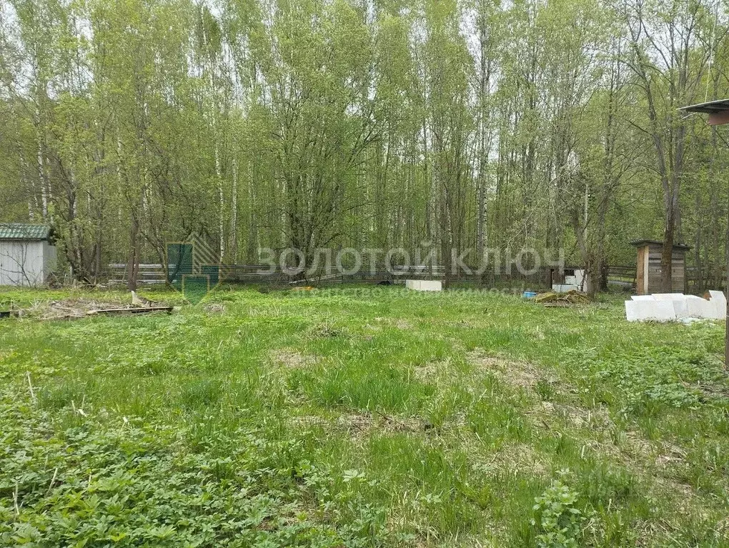 Участок в Московская область, Талдомский городской округ, д. Высочки 8 ... - Фото 2