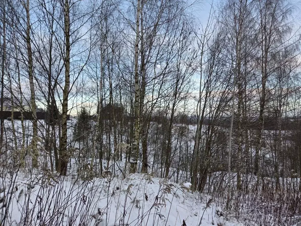 Участок в Московская область, Сергиево-Посадский городской округ, д. ... - Фото 1