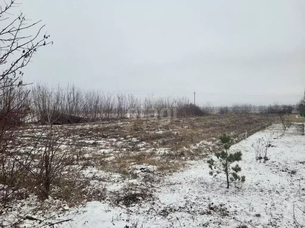 Участок в Белгородская область, Старооскольский городской округ, с. ... - Фото 0