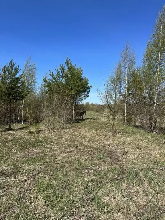 Участок в Тверская область, Вышневолоцкий муниципальный округ, д. ... - Фото 1