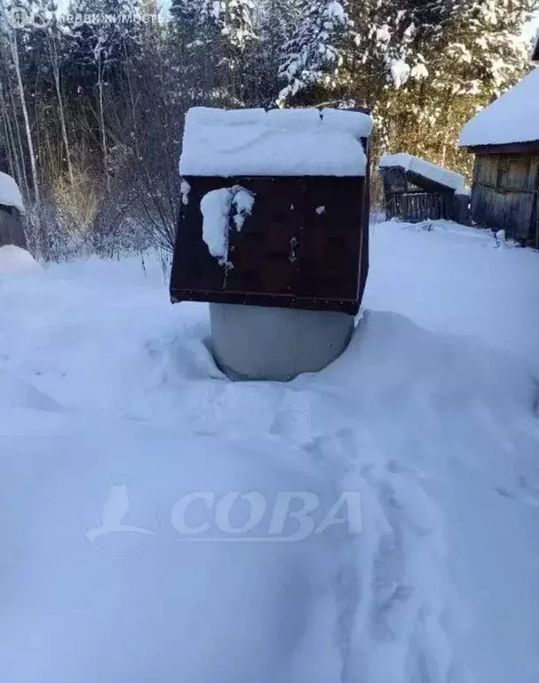 Дом в Тюменский муниципальный округ, село Леваши (52 м) - Фото 1