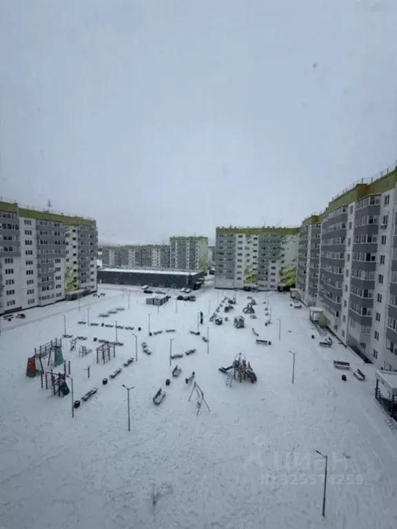 Студия Пермский край, Пермский муниципальный округ, с. Фролы ул. ... - Фото 2