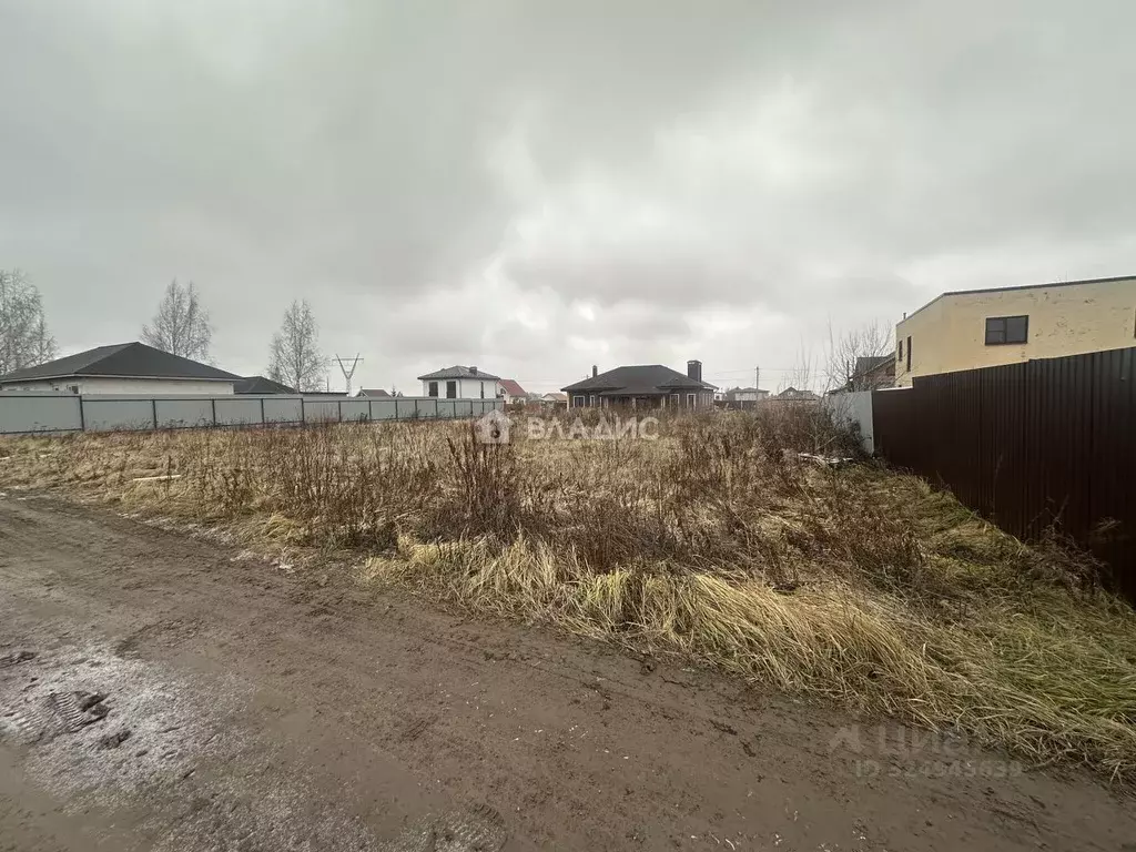 Участок в Владимирская область, Суздальский район, Новоалександровское ... - Фото 2