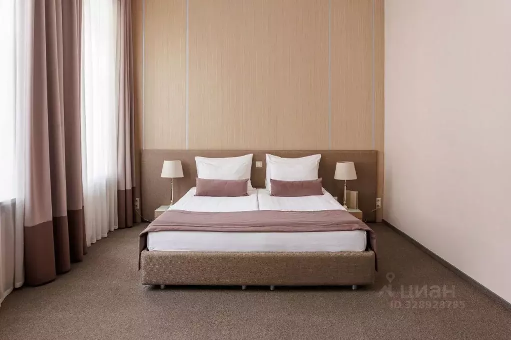 Комната Санкт-Петербург ул. Чехова, 2 (30.0 м) - Фото 2