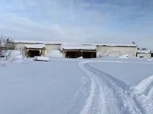 Помещение свободного назначения в Магаданская область, Ольский ... - Фото 1