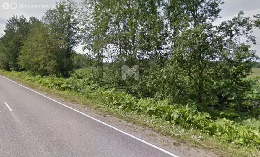 Участок в Кировский район, Суховское сельское поселение, деревня Сухое ... - Фото 1