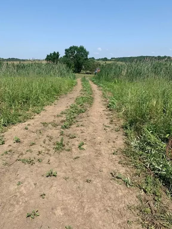 Участок в Краснодарский край, Анапа муниципальный округ, Иванов хут. ... - Фото 2