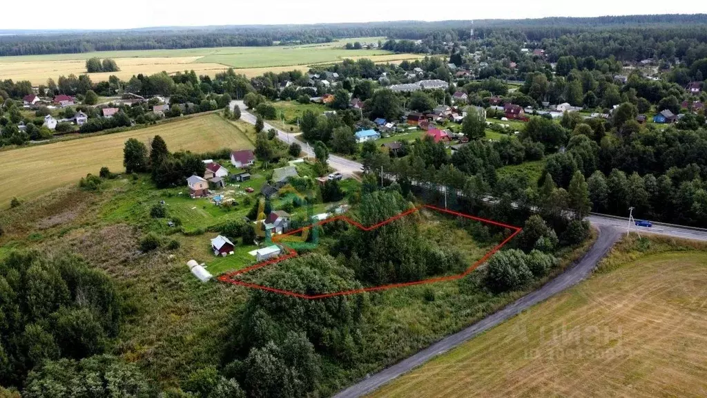 Участок в Ленинградская область, Приозерский район, Петровское с/пос, ... - Фото 2