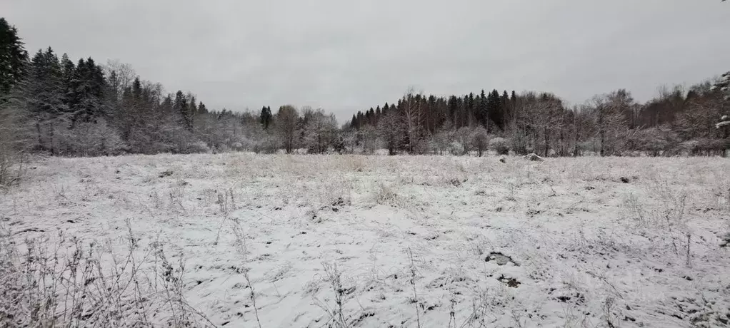 Участок в Ленинградская область, Выборгский район, Советское городское ... - Фото 1