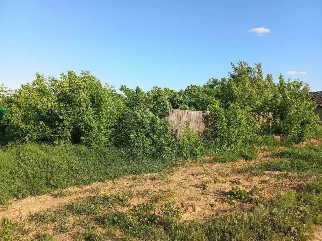 Участок в Владимирская область, Муром с. Благовещенское, ул. Песочная, ... - Фото 1