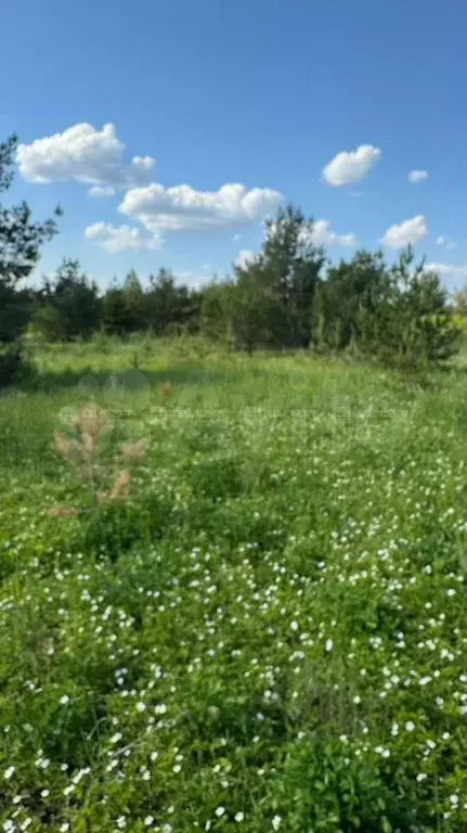 Участок 8 сот. (СНТ, ДНП) - Фото 1