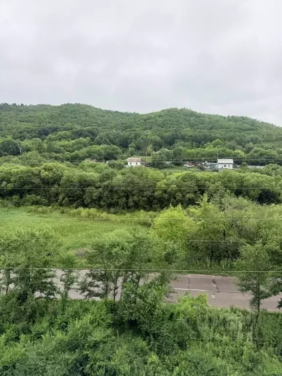1-к кв. Амурская область, Благовещенск городской округ, с. Белогорье ... - Фото 2