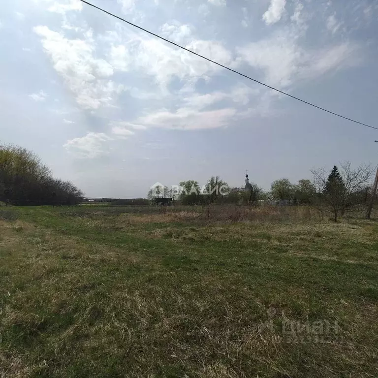 Участок в Владимирская область, Суздальский район, Селецкое ... - Фото 0