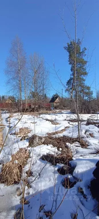 Участок в Ленинградская область, Лужский район, Мшинское с/пос, ... - Фото 0