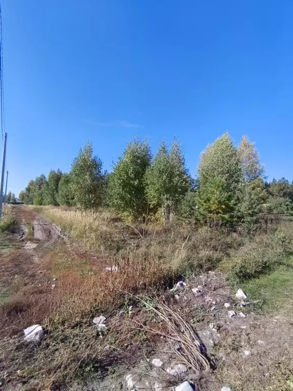 Участок в Ульяновская область, Чердаклинский район, Мирновское с/пос, ... - Фото 1
