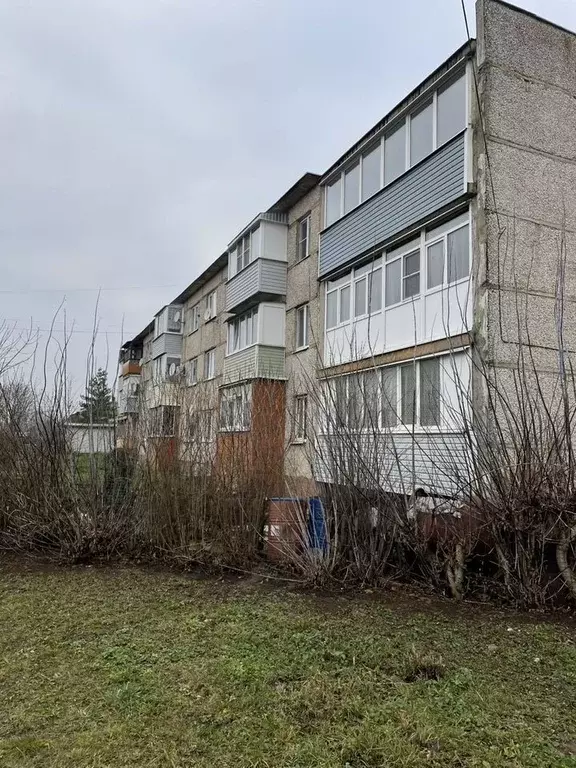 3-к кв. Московская область, Зарайск муниципальный округ, д. Мендюкино ... - Фото 2