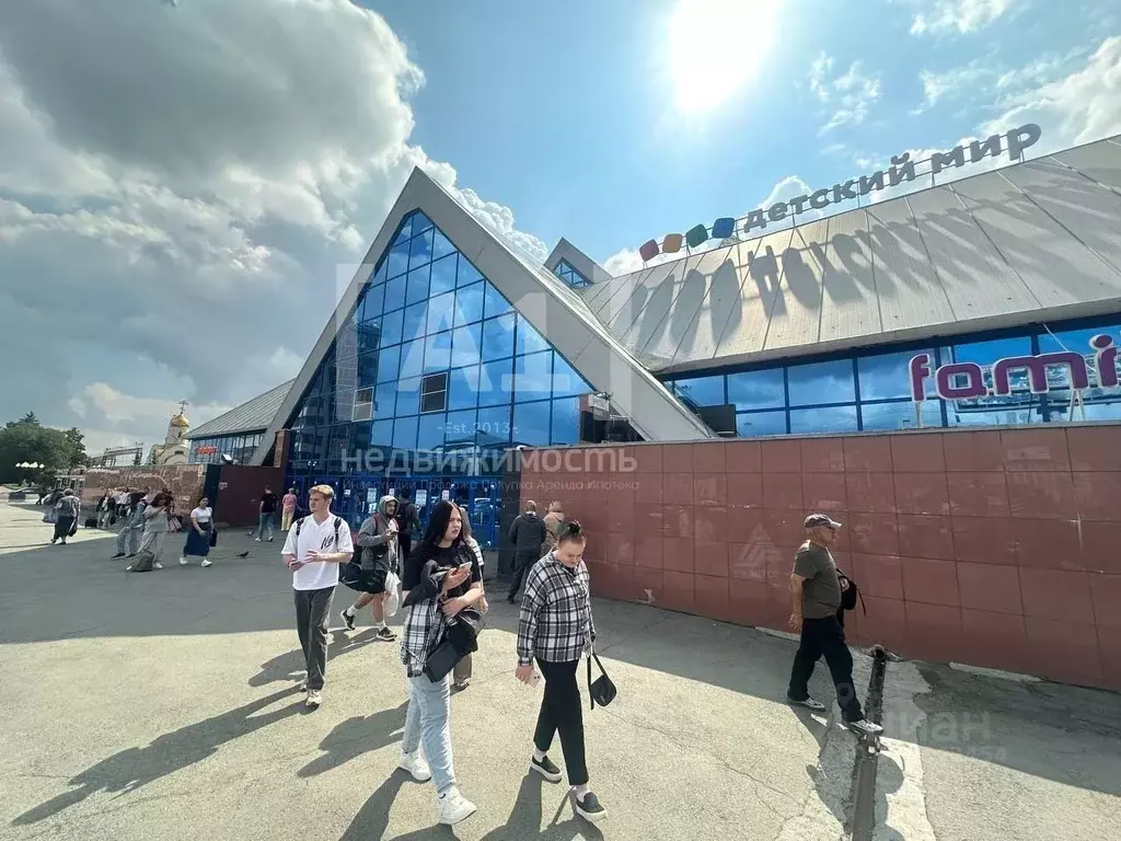 Помещение свободного назначения в Челябинская область, Челябинск ул. ... - Фото 1