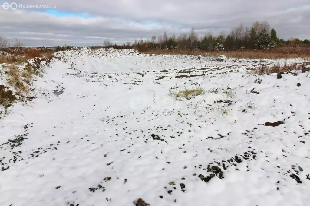 Участок в Свердловская область, Горноуральский городской округ, село ... - Фото 1