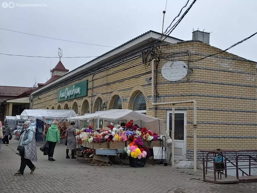 Помещение свободного назначения (370 м) - Фото 2