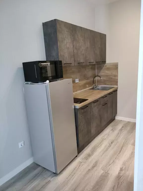 Студия Ленинградская область, Всеволожский район, Свердловское ... - Фото 1