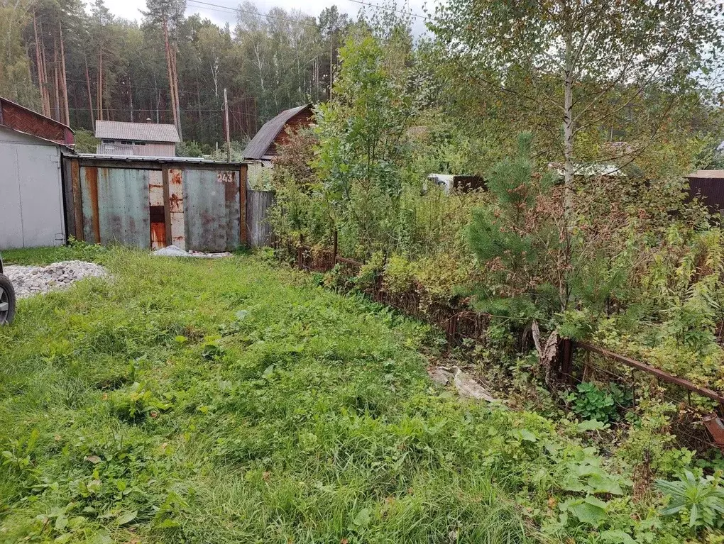 Участок в Свердловская область, Екатеринбург Луч-3 СНТ, 243 (5.5 сот.) - Фото 1